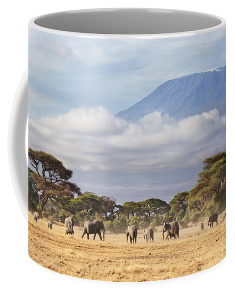 Nis Coffee Mug featuring the photograph Mount Kilimanjaro Amboseli by Richard Garvey-Williams