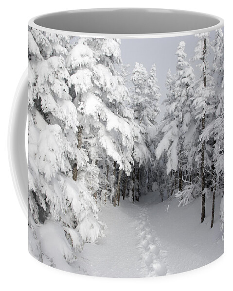 Wilderness Coffee Mug featuring the photograph Mount Osceola Trail - White Mountains New Hampshire by Erin Paul Donovan