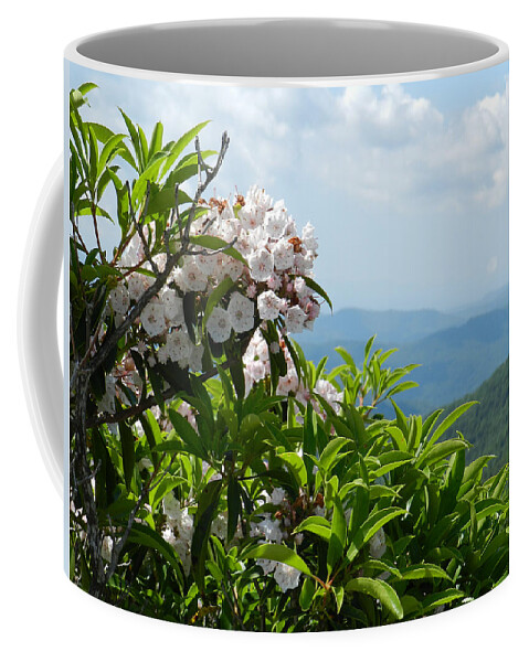 Mountain Laurel Coffee Mug featuring the photograph Mountain Laurel by Deborah Ferree