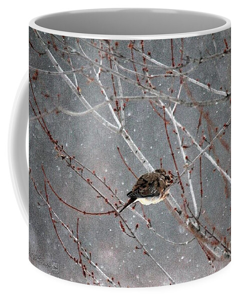 Mccombie Coffee Mug featuring the painting Mourning Dove Asleep in Snowfall by J McCombie