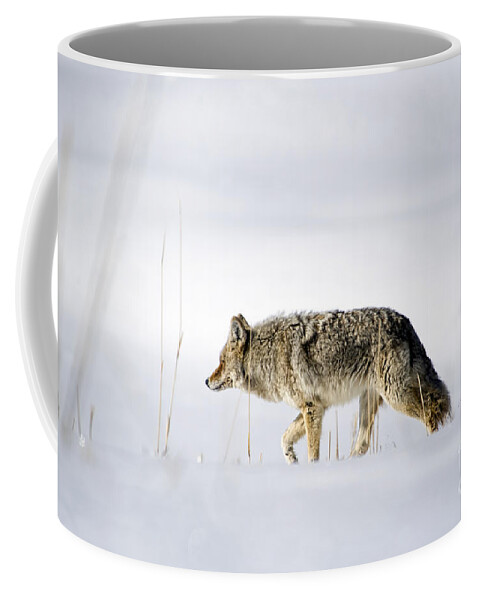Coyote Coffee Mug featuring the photograph Moving Forward by Deby Dixon