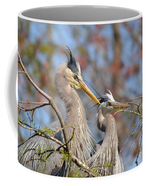 Heron Coffee Mug featuring the photograph Mr. And Mrs. by Kathy Baccari