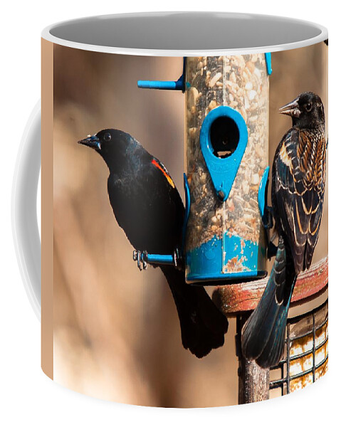 Red Winged Blackbird Coffee Mug featuring the photograph Mr. and Mrs. Red Winged Blackbird by Robert L Jackson