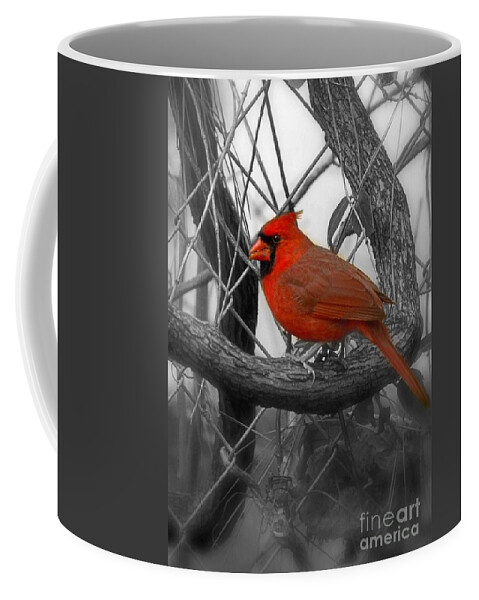 Redbird Coffee Mug featuring the photograph Mr Cardinal -Card by Sandra Clark