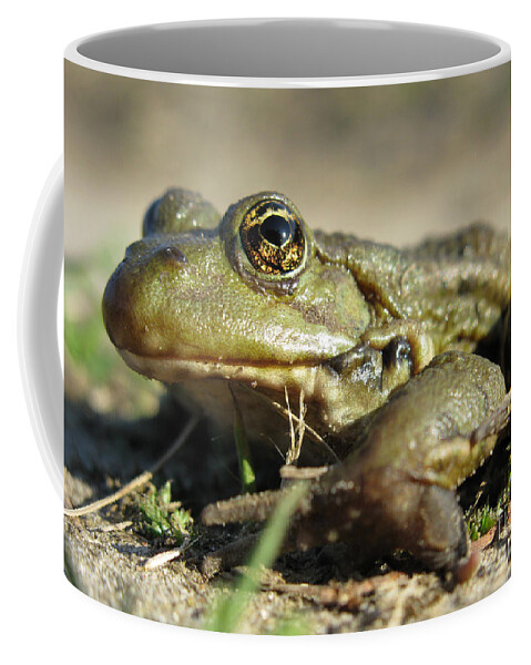 Frog Coffee Mug featuring the photograph Mr. Charming Eyes. Side view by Ausra Huntington nee Paulauskaite
