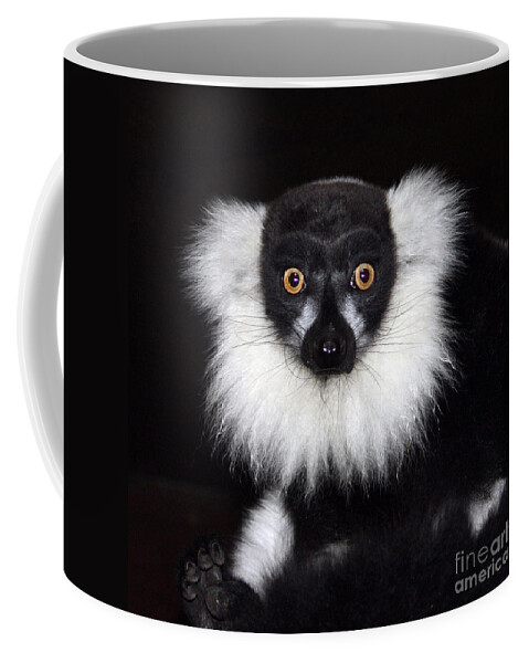 Black & White Ruffed Lemur Coffee Mug featuring the photograph Mr Lemur by Terri Waters