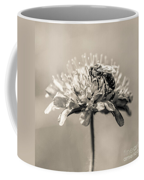 1x1 Coffee Mug featuring the photograph Much To Do by Hannes Cmarits