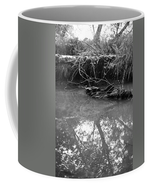 Creek Coffee Mug featuring the photograph Muddy Creek by Adria Trail