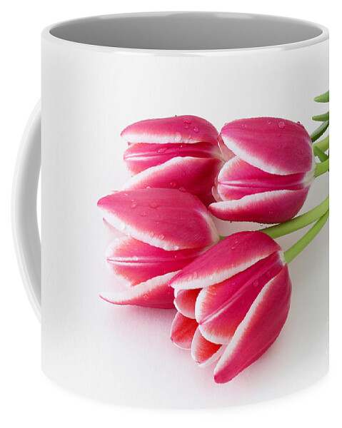 Tulips Coffee Mug featuring the photograph Multicolored Tulips by Anita Oakley