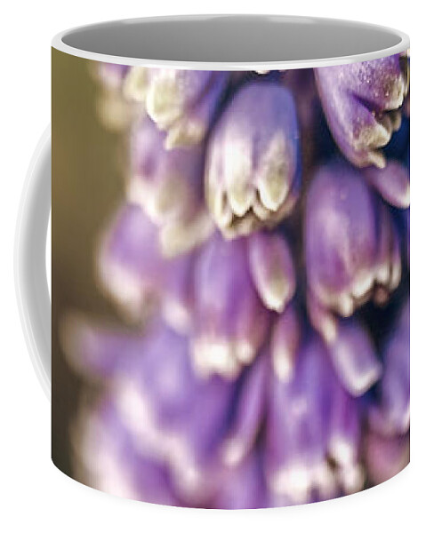 Muscari Coffee Mug featuring the photograph Muscari by Caitlyn Grasso
