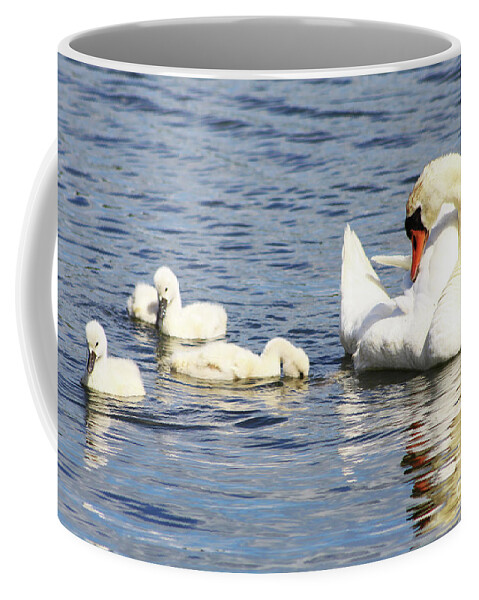 Swan Coffee Mug featuring the photograph Mute Swans by Alyce Taylor