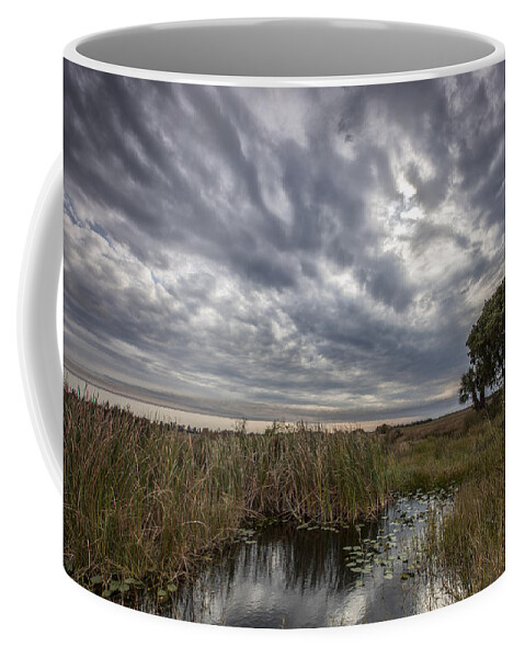Gray Coffee Mug featuring the photograph My Backyard by Jon Glaser
