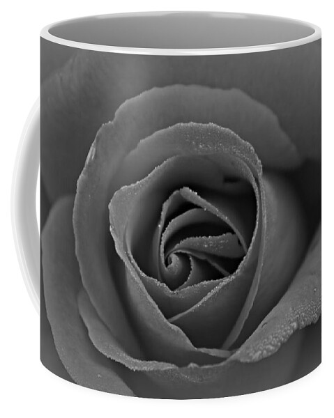 Roses Coffee Mug featuring the photograph Designer by Clare Bevan
