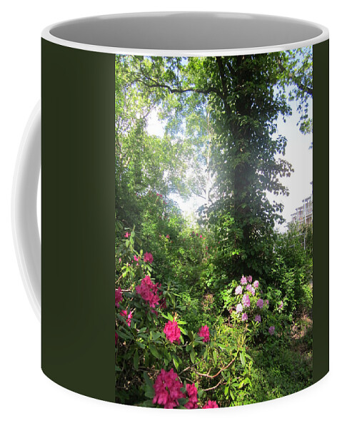 Trees Coffee Mug featuring the photograph My Haven by Rosita Larsson