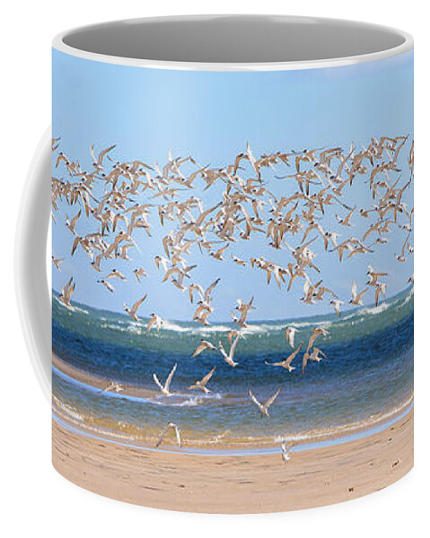 Tern Coffee Mug featuring the photograph My Tern by Bill Wakeley