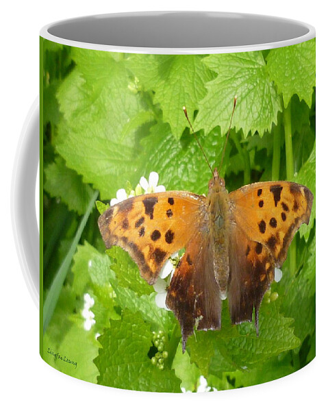 Question Mark Butterfly Coffee Mug featuring the photograph Mystery Lady by Lingfai Leung
