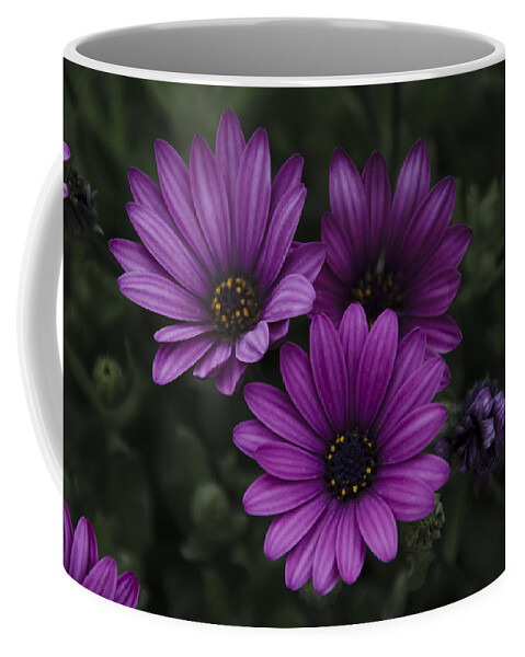 Mystical Coffee Mug featuring the photograph Mystical Purple by Penny Lisowski