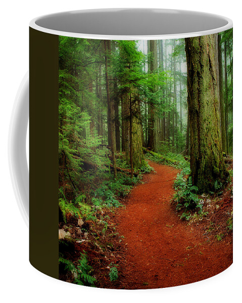 Forest Coffee Mug featuring the photograph Mystical Trail by Randy Hall