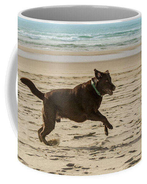 Lab Coffee Mug featuring the photograph Name something more fun than this by Jean Noren