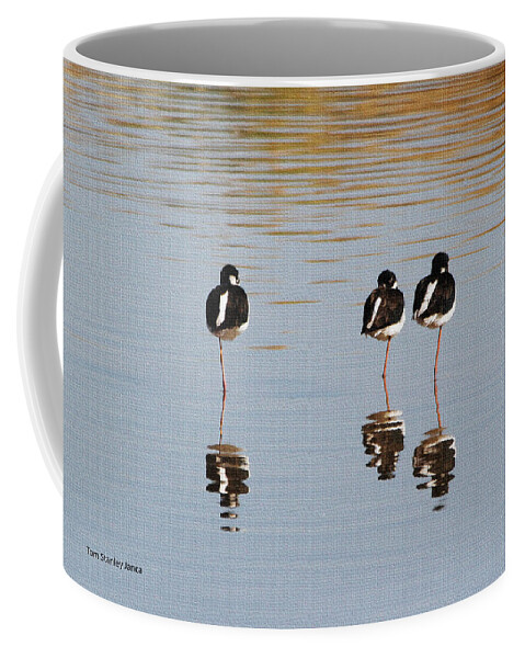 Nap Time Coffee Mug featuring the photograph Nap Time by Tom Janca