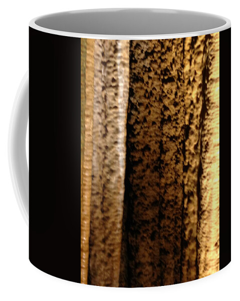  Coffee Mug featuring the photograph Natural Abstration #5 by Sheila Mashaw