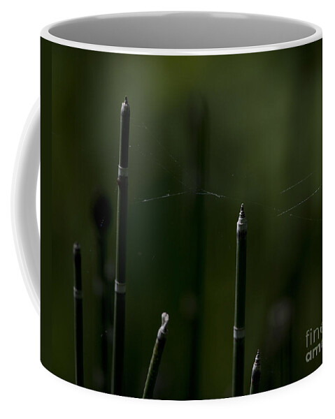 Nature Coffee Mug featuring the photograph Nature... by Nina Stavlund
