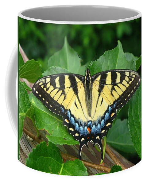 Butterfly Coffee Mug featuring the photograph Nature's Symmetry by Laura Corebello