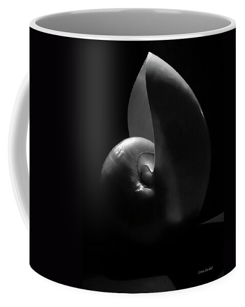 Nautilus Coffee Mug featuring the photograph Nautilus by Donna Blackhall