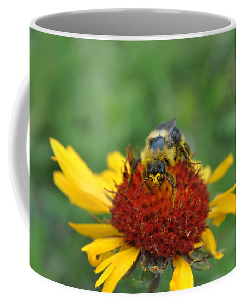 Bee Coffee Mug featuring the photograph Need more pollen by Jim Hogg