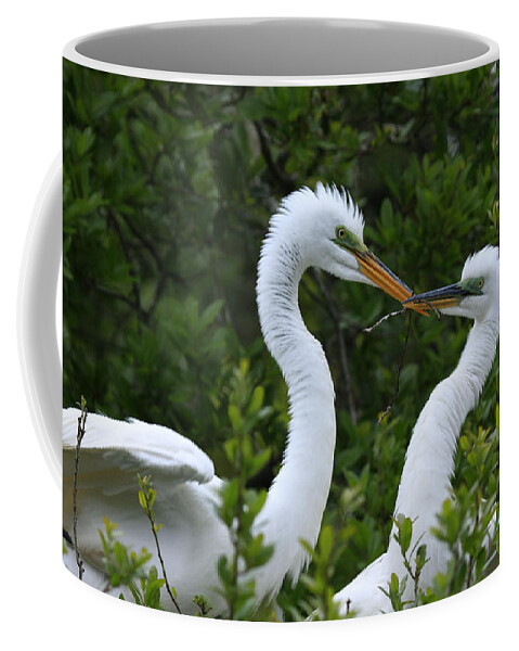 Great Egrets Coffee Mug featuring the photograph Nest Building by John F Tsumas