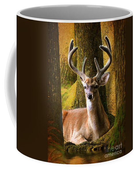 Mammals Coffee Mug featuring the photograph Nestled In The Woods by Kathy Baccari