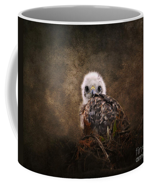 Baby Bird Coffee Mug featuring the photograph Nestling by Jai Johnson