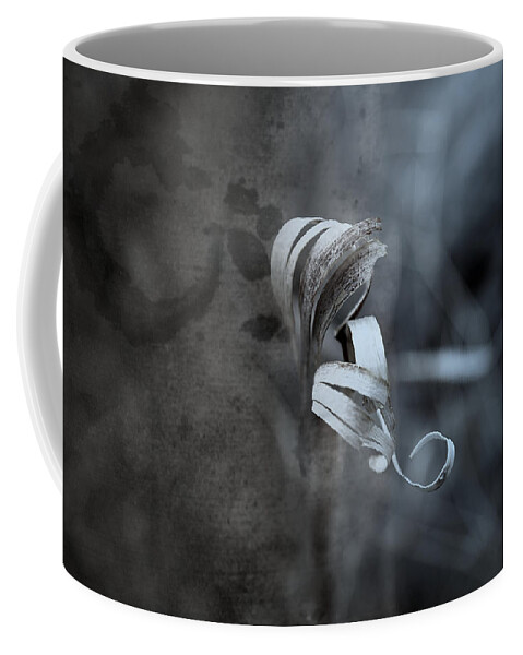 Curl Coffee Mug featuring the photograph Neutral Order by Mark Ross
