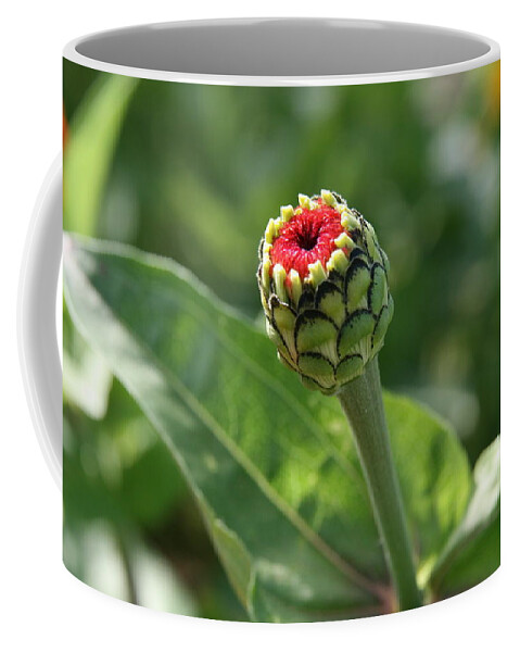 Zinnea Coffee Mug featuring the photograph New Beginning by Neal Eslinger