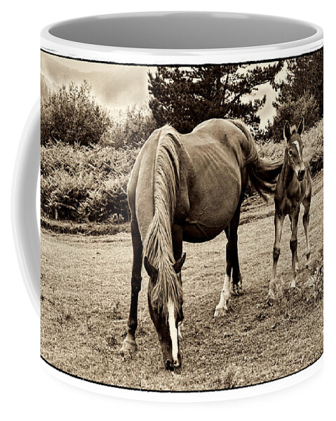 Foal Coffee Mug featuring the photograph New blood by Weston Westmoreland