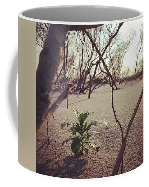 New Coffee Mug featuring the photograph New by Katie Cupcakes