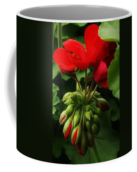 Flora Coffee Mug featuring the photograph New Life by Bruce Bley