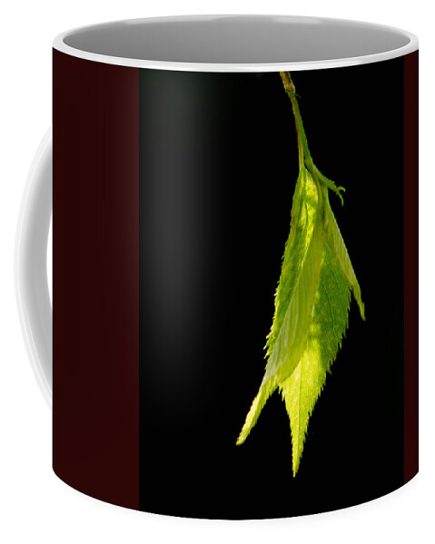 Leaf Coffee Mug featuring the photograph New Life by Ron Roberts