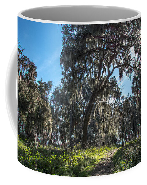Gainesville Coffee Mug featuring the photograph Newnan's Lake Tree Canopy by Valerie Cason