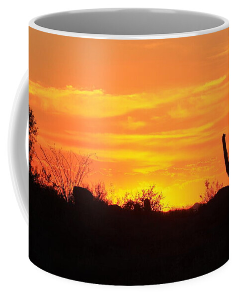 Silhouette Coffee Mug featuring the photograph Night fall in the desert by Ruth Jolly