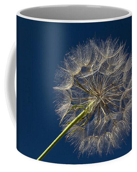 Dandelion Coffee Mug featuring the photograph Dandelion Sparkle by Patti Deters