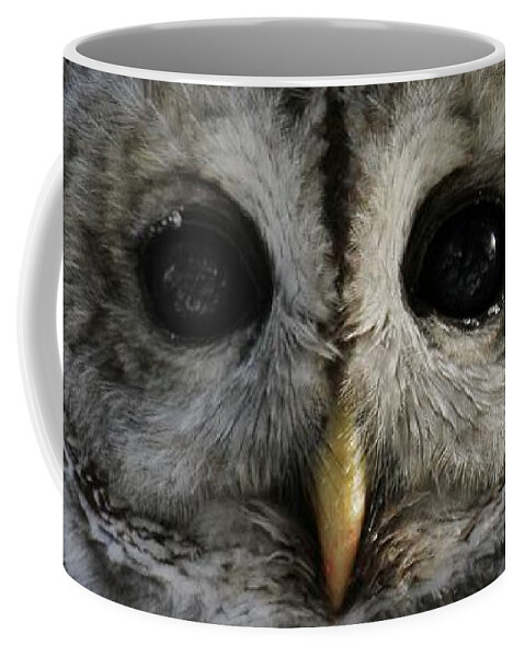 Wildlife Photography Coffee Mug featuring the photograph Noble by Heather King