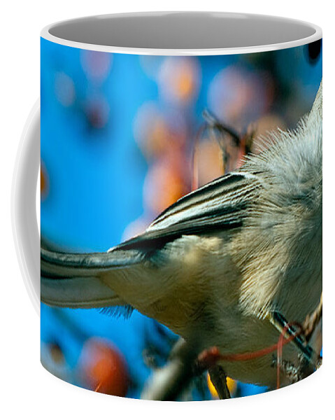 Mockingbird Coffee Mug featuring the photograph Northern Mockingbird by Bob Orsillo