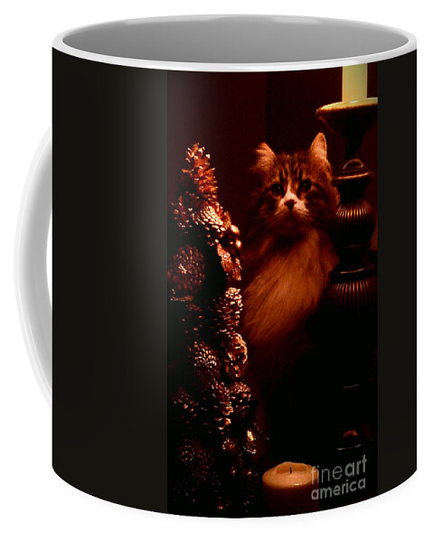 Cat Coffee Mug featuring the photograph Not A Creature Was Stirring... by Jacqueline McReynolds