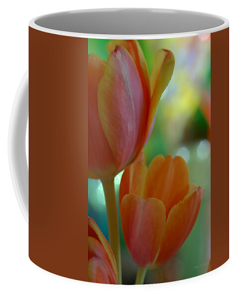 Tulips Coffee Mug featuring the photograph Nothing As Sweet As Your Tulips by Donna Blackhall