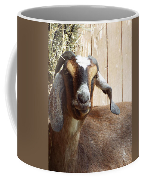 Nubian Goat Coffee Mug featuring the photograph Nubian Goat by Caryl J Bohn