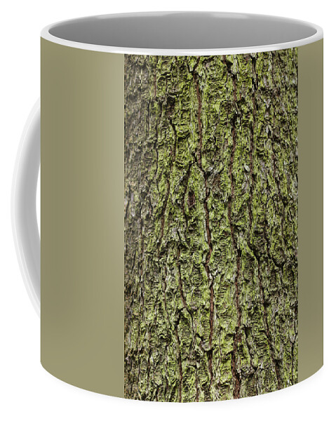 Lichen Coffee Mug featuring the photograph Oak with lichen by Allan Morrison
