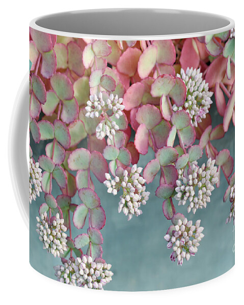 Cacti Coffee Mug featuring the photograph October Daphne by Elaine Manley