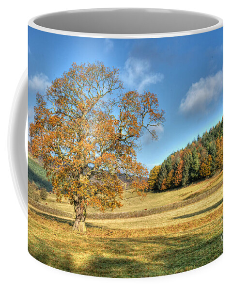 Landscape Coffee Mug featuring the photograph October Gold by David Birchall