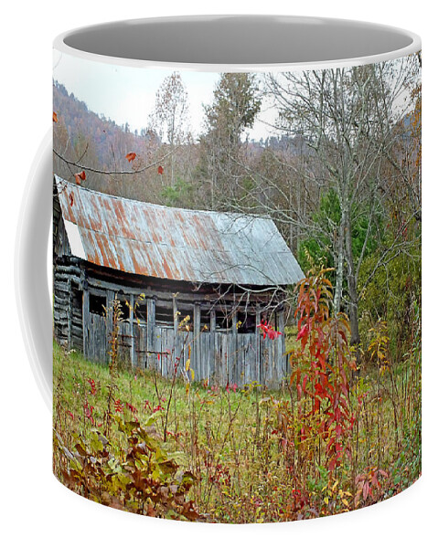 Duane Mccullough Coffee Mug featuring the photograph Old Barn and Bird House by Duane McCullough